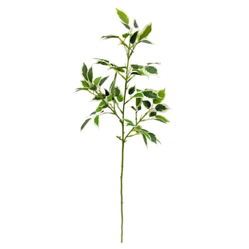 Green Ficus Spray, 30″