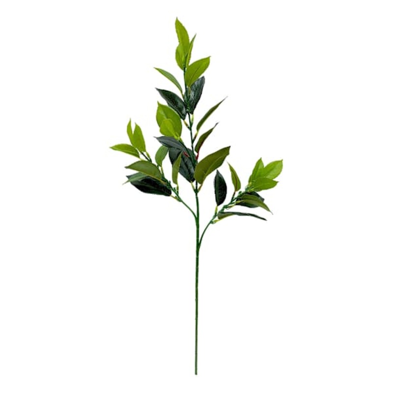 Green Rose Leaf Spray, 25″