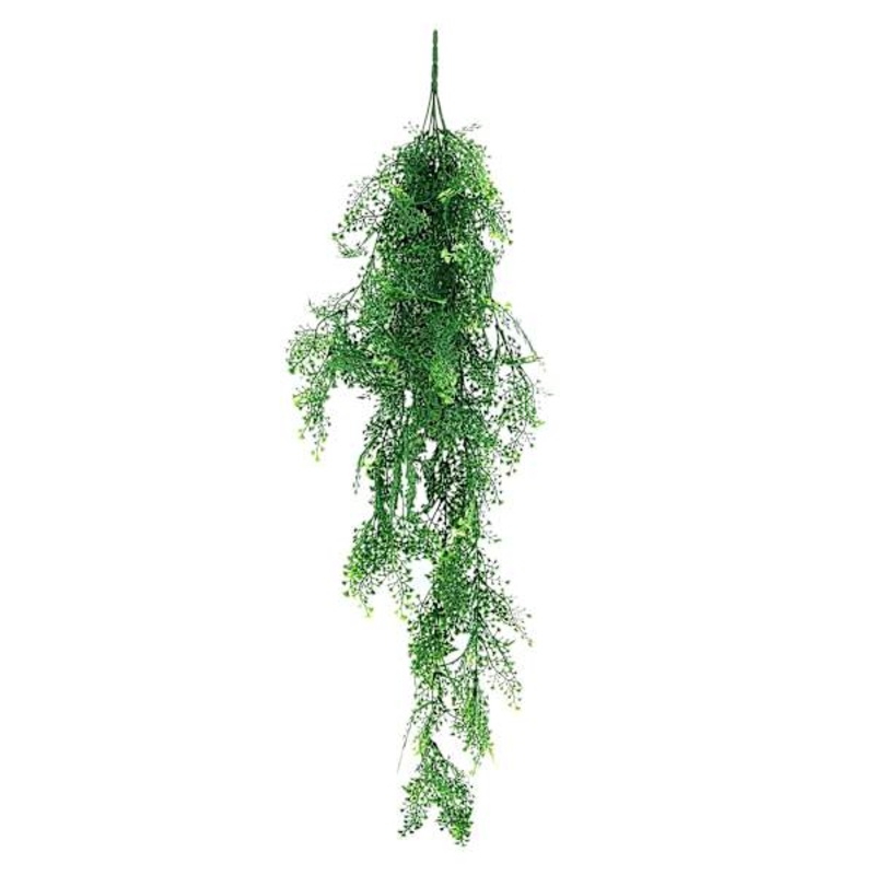Maiden Hair Vine, 46″
