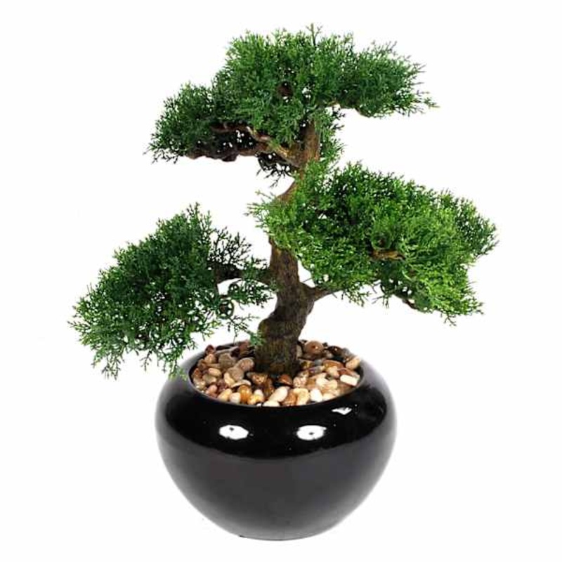 Bonsai Tree Plant with Black Ceramic Planter, 14.5″