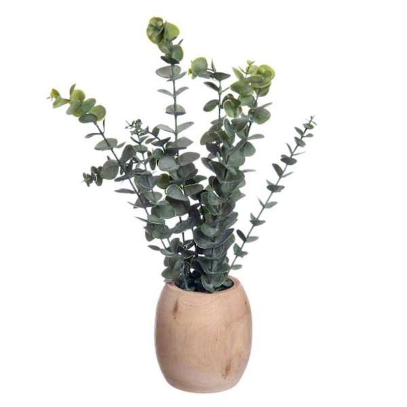 Eucalyptus Spray in Wooden Pot, 16″