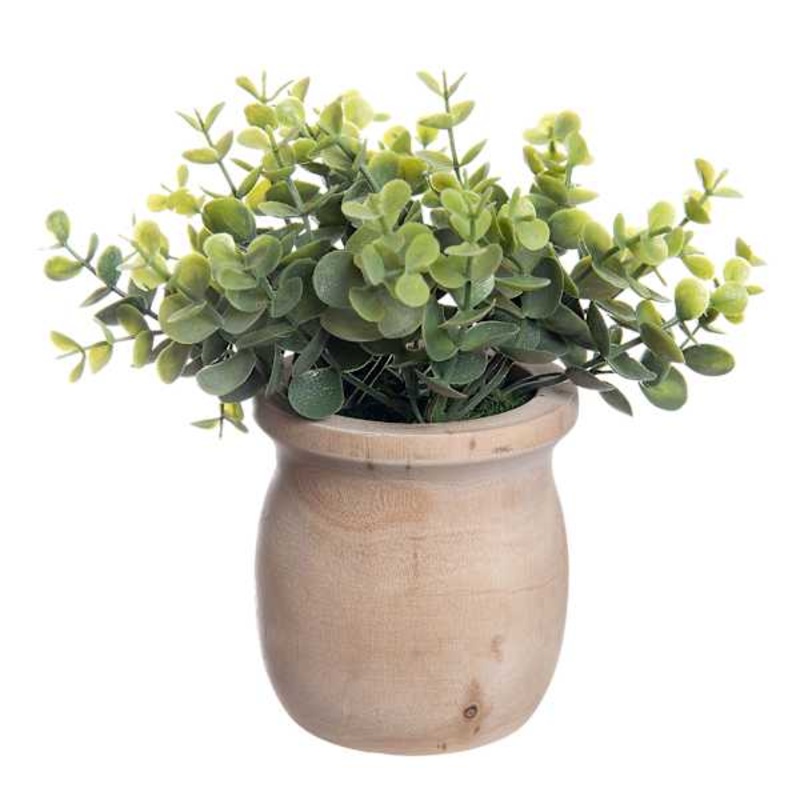 Eucalyptus Spray in Wooden Pot, 9″