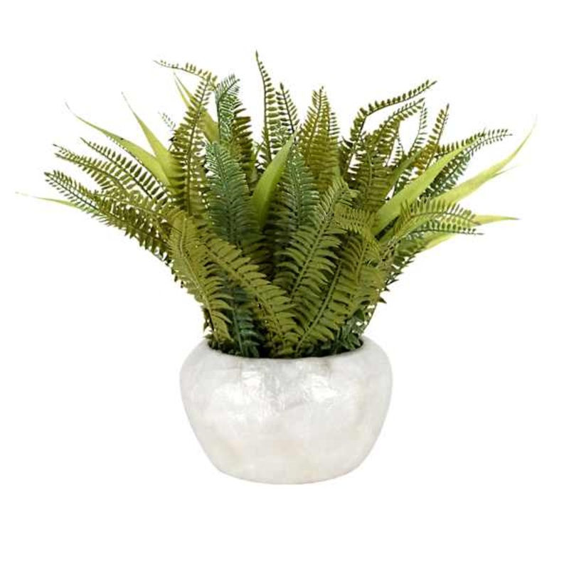 Fern in Pearlescent Pot, 14″