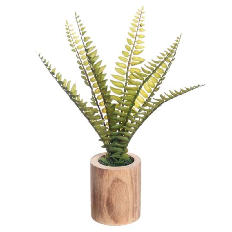 Fern in Wooden Pot, 10″