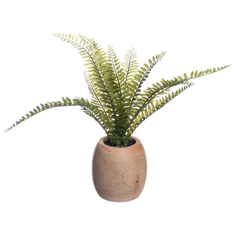 Fern Plant in Wood Pot, 12″