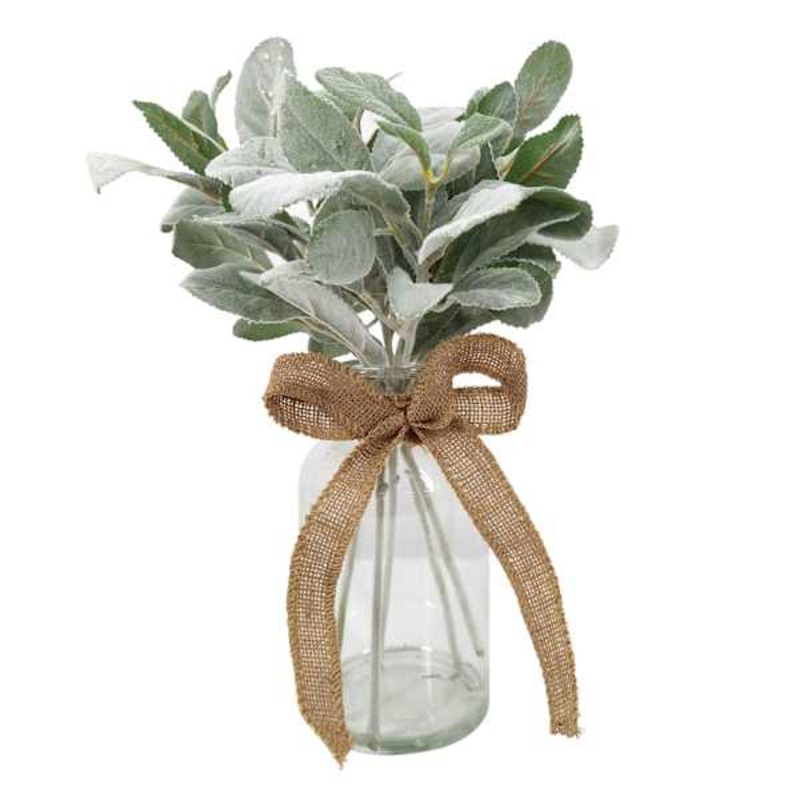 Green Lambs Ear Plant with Glass Vase, 14″