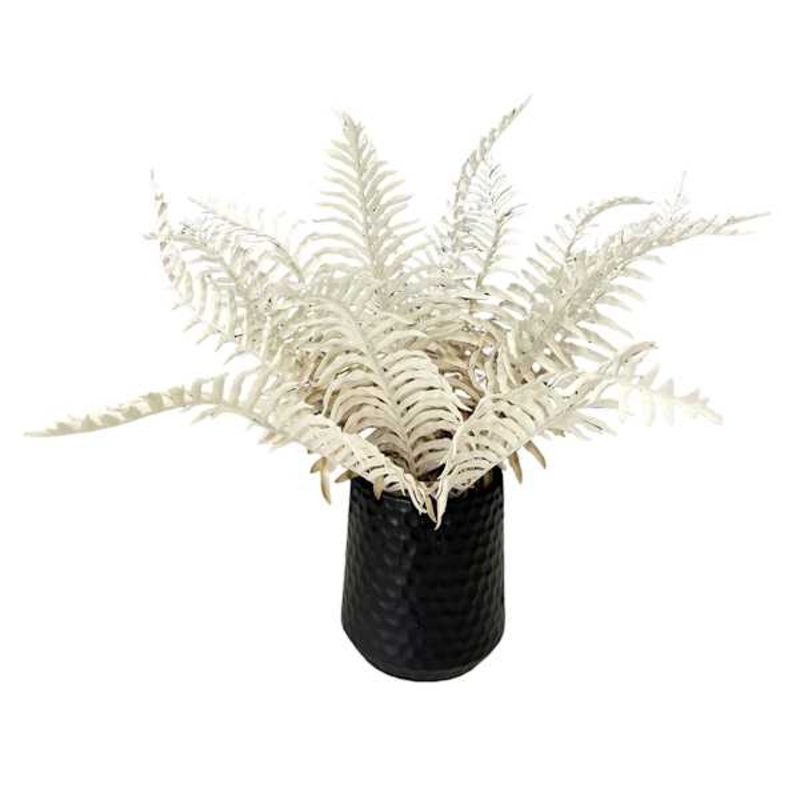 Potted Persian Leaf Plant, 16″