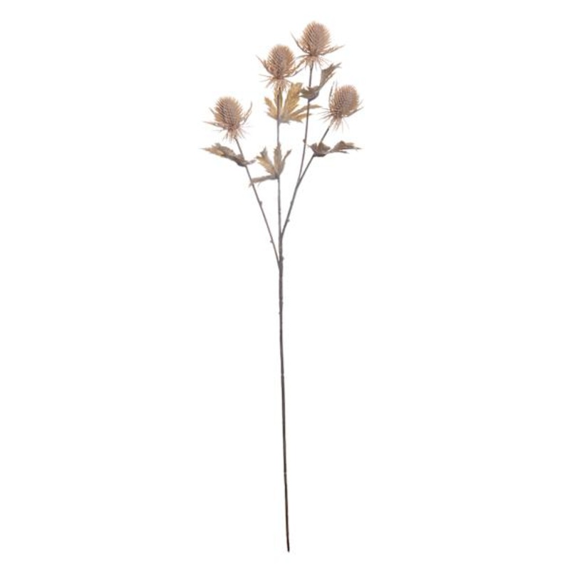 2-Piece Natural Thistle Spray, 25″