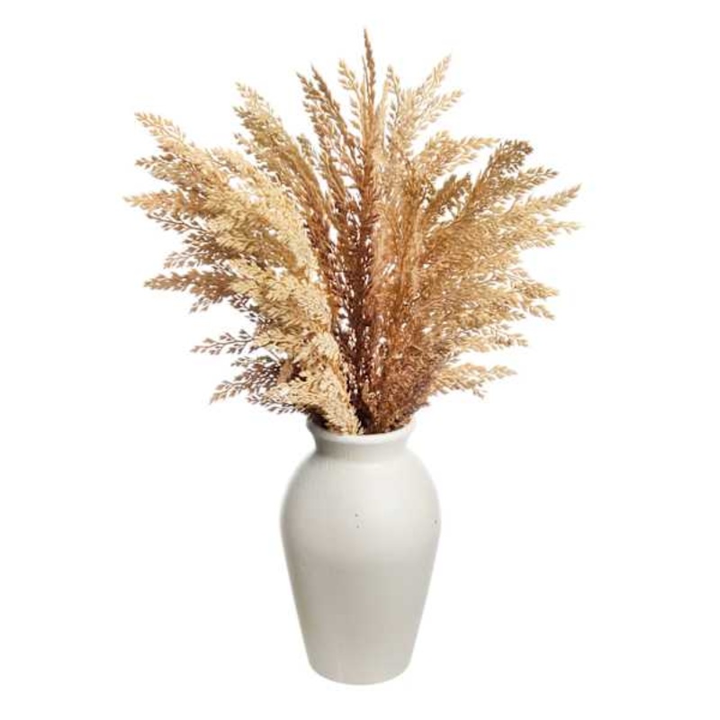 Brown Pampas Grass in Pot, 19″