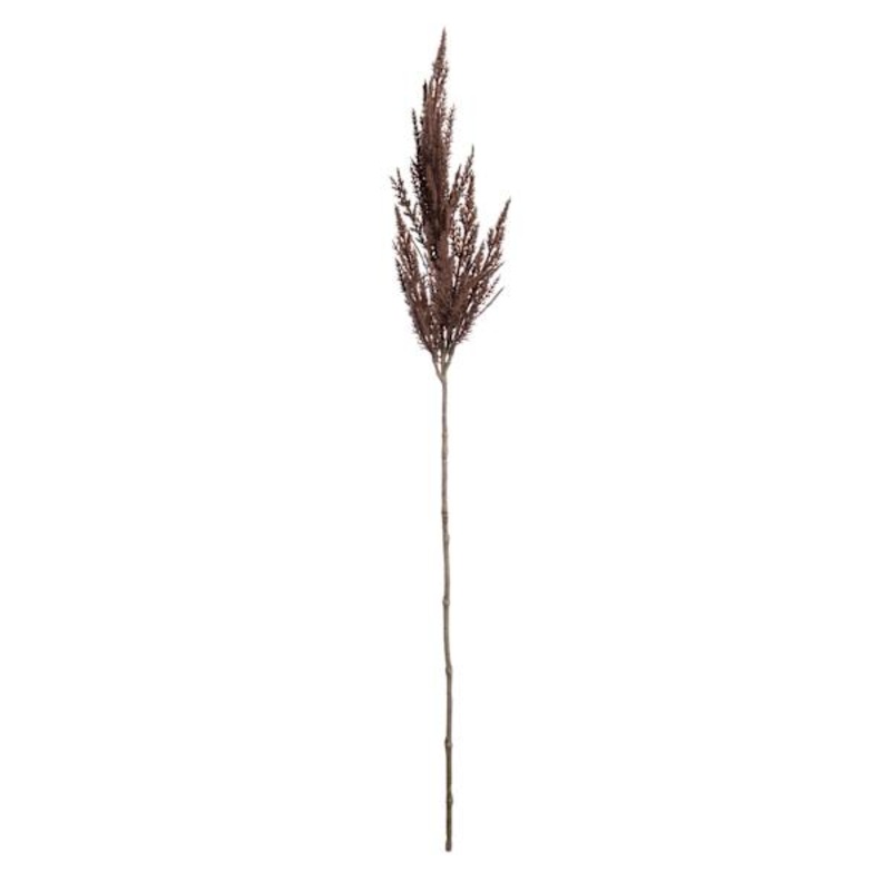 Brown Pampas Grass Stem, 32″
