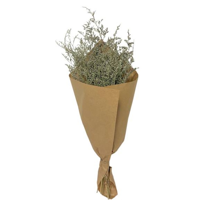 Caspia Bundle in Natural Paper, 2oz