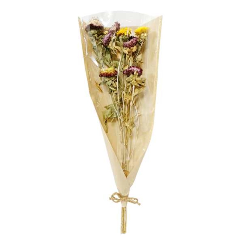 Dried Daisy Bundle, 20″