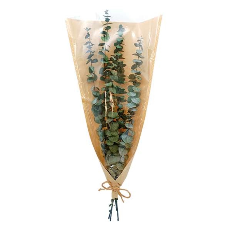 Dried Eucalyptus Bundle, 30″