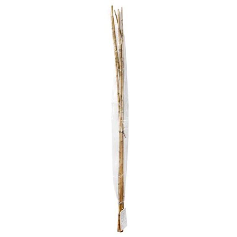 Found & Fable 5-Piece Natural Nanal Stick Bunch