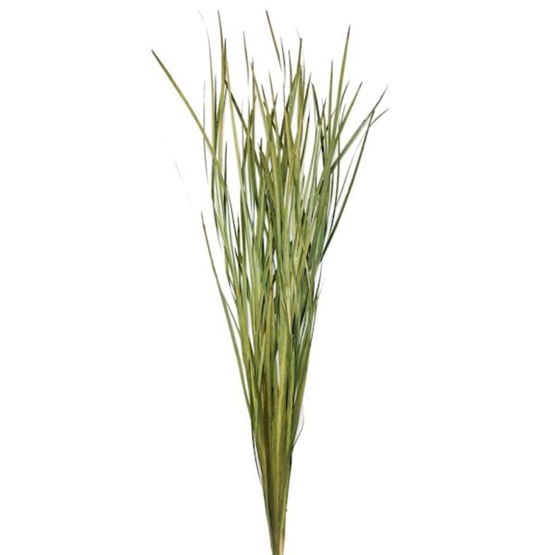 Green Magnolia Flax Grass Bundle, 42″