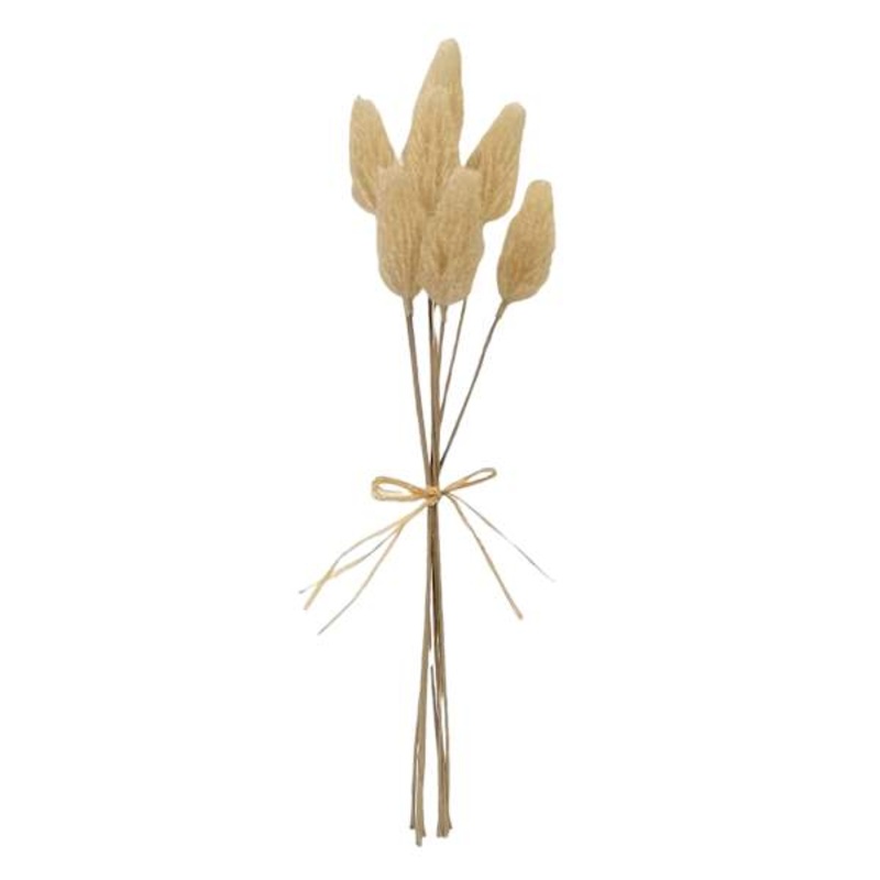 Honeybloom Cream Bunny Tail Bundle, 7″