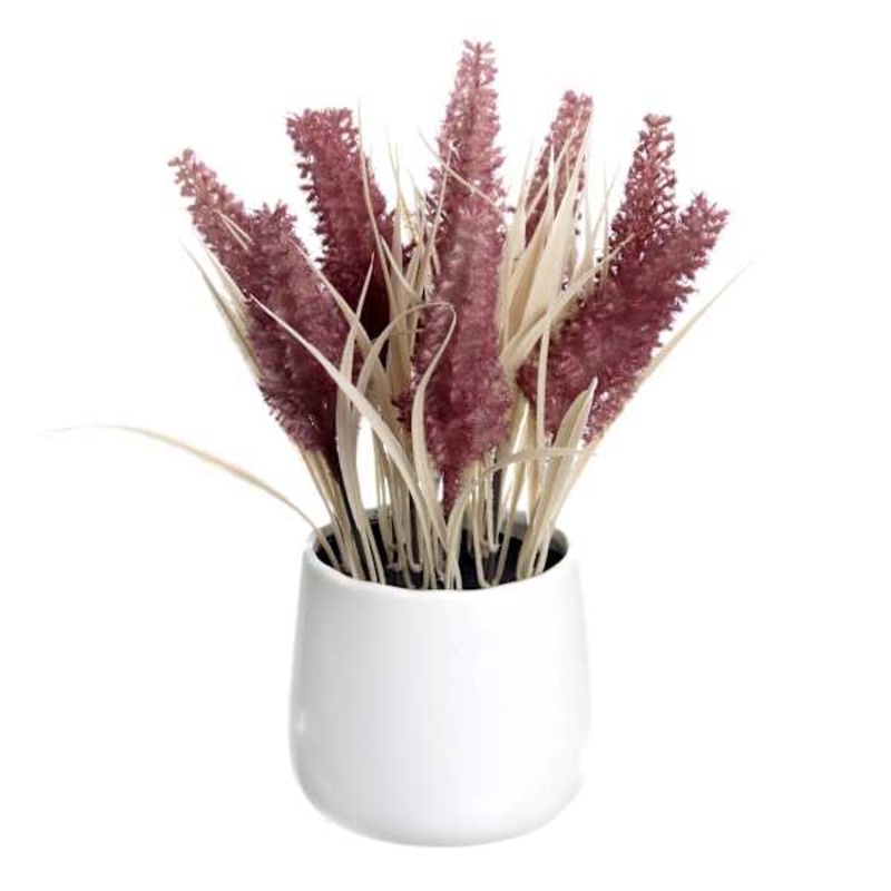 Mauve Dog Tail in Ceramic Pot, 11″