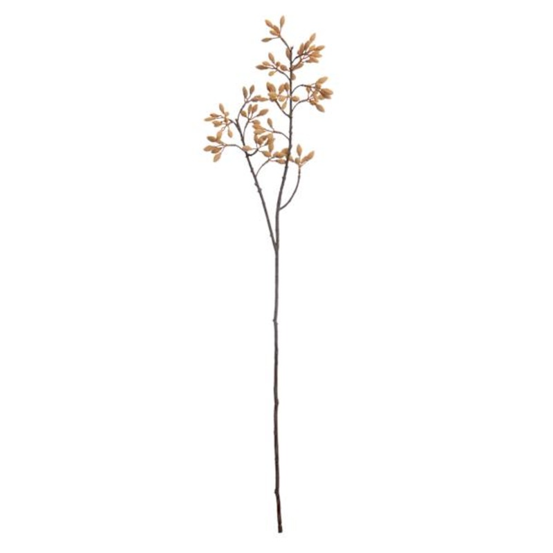 Natural Firmiana Simplex Spray, 30″