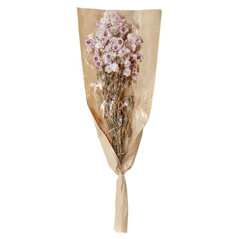 Pink Daisy Bundle, 19.5″